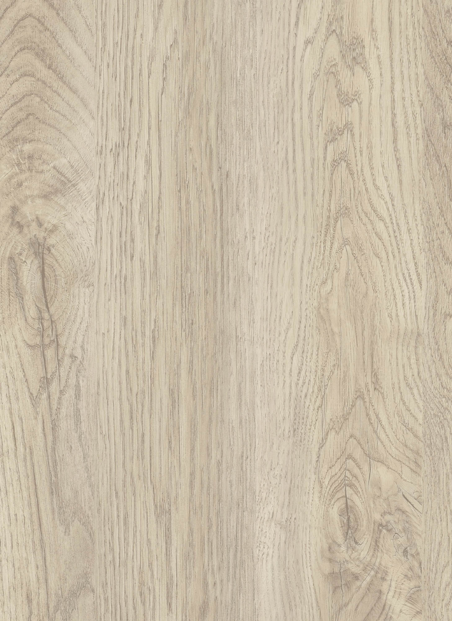 2663 light grey rovere