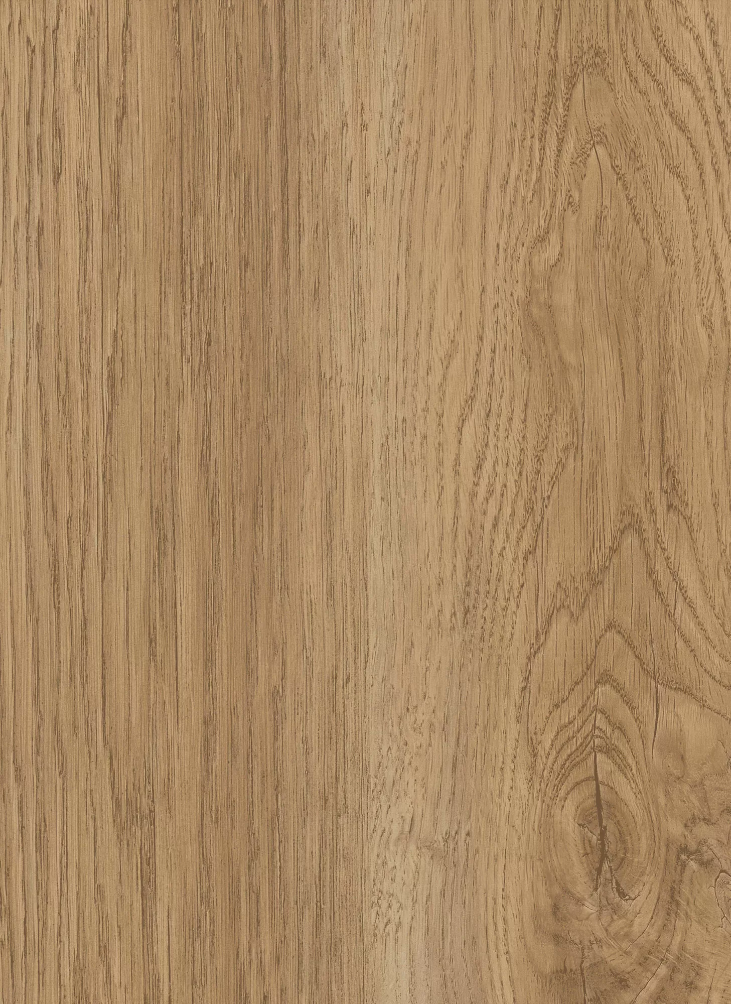 2666 natural rovere jpg