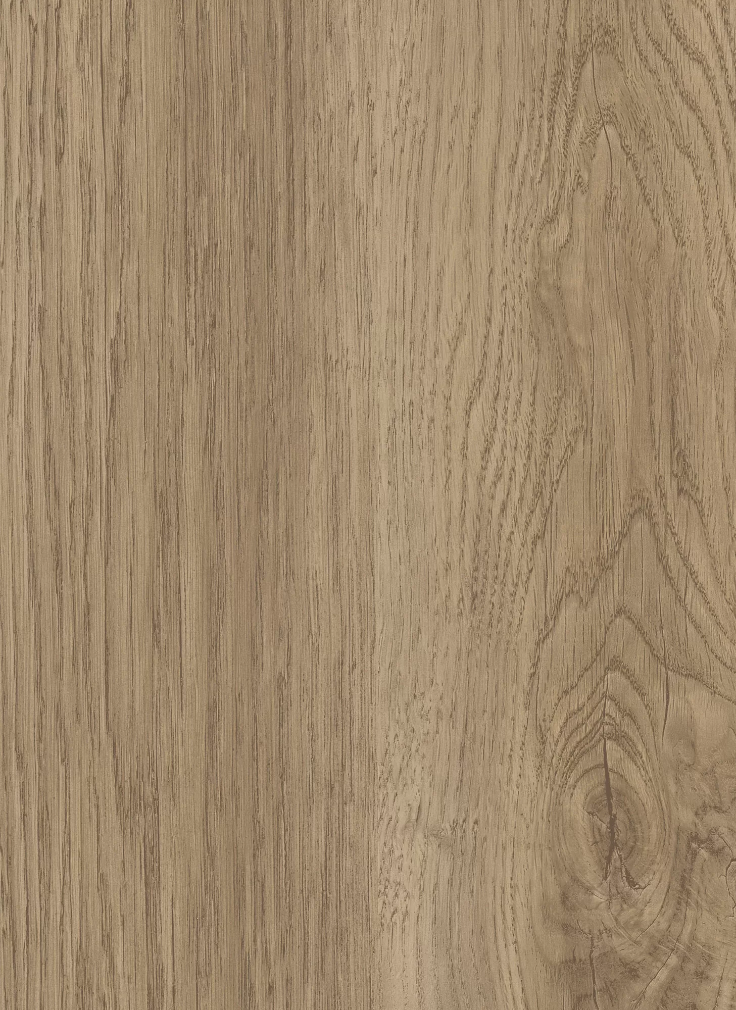 2667 honey rovere 1 jpg