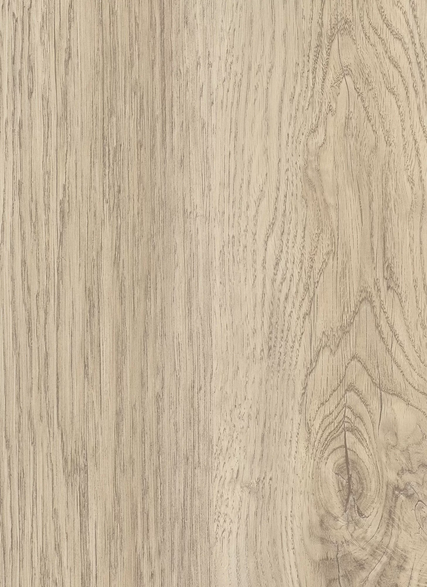 2668 beige rovere 1 1 jpg